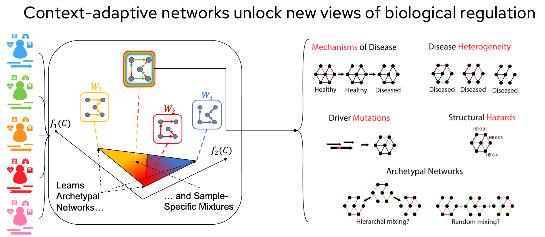 Figure 13: Contextualized networks enable inference of archetypal and sample-specific mixtures, unlocking new biological insights such as mechanisms of disease, disease heterogeneity, structural hazards, and driver mutations.